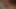 Brünette retro-schlampe mit kleinen titten gibt einen angenehmen blowjob
