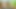 Kame Paradise Multiversex 3 - Taking Pictures of Bulma and Fucking with Kale and Caulifla's Fusion