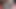 Solo Dick Creampie in Fetish Sexy Satin Thong - Homemade Masturbation in Woman Underwear Lingerie
