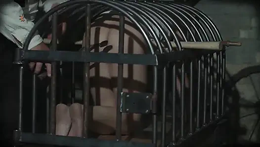 Что делать с блондинкой в клетке