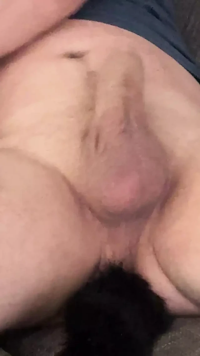 The tail is in
