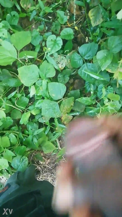I masturbate in the bush
