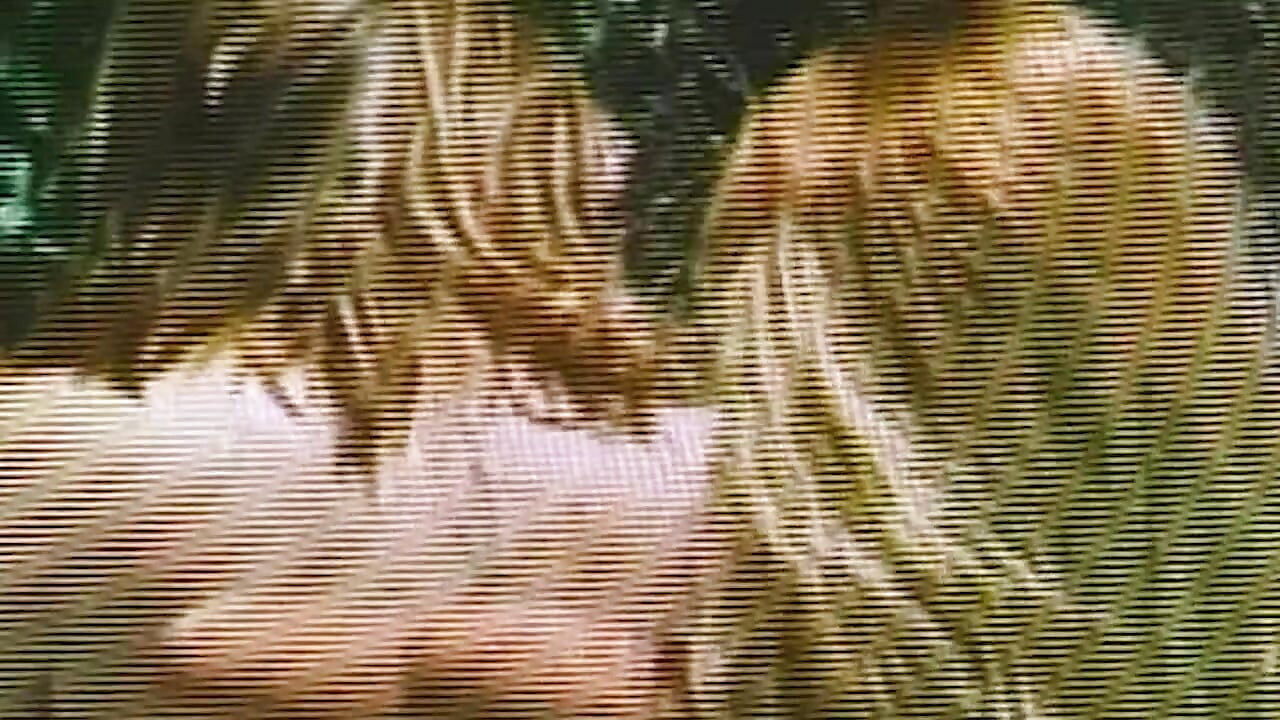 Heißer Pool-Sex in weißen Panties