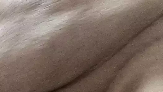 teşhirci tombul bator gösteri vücut ve küçük horoz sarkık