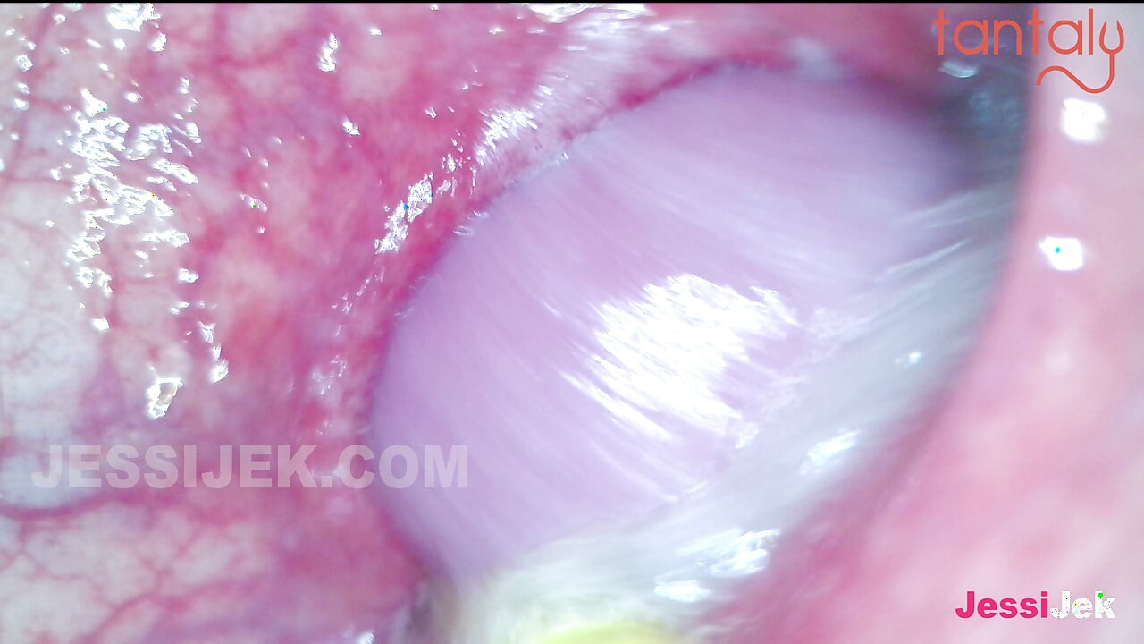 Sex education with Jessie and the Tantaly doll. An Endoscope in the Ass showing Creampie inside. JessiJek
