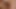 I love many Cocks