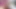 Cewek ini lagi asik muasin lubangnya pakai dildo ukuran 10 in dan 13 dildo ukuran kontol raksasa pria kulit hitam