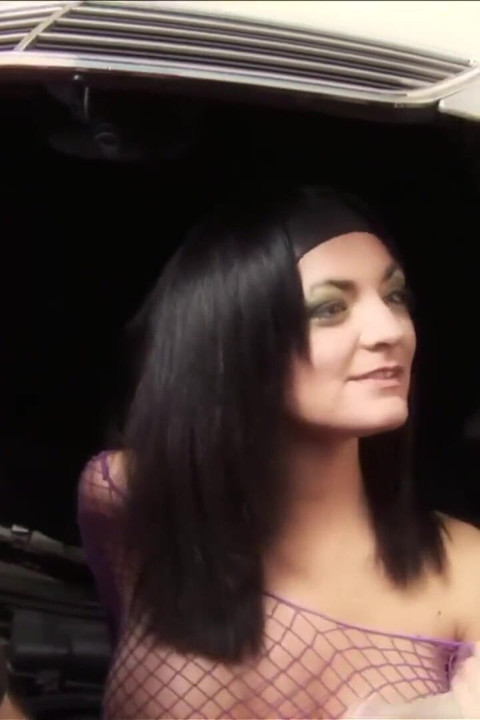 網タイツ姿の双子の女たち、異人種間の乱交