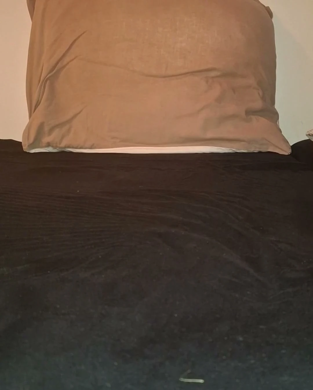 Hot Gay Twink Jerks off on His Bed,NoFace Twink X