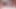 Horny Stepson Wants To Spend Christmas With His Hunky Stepdad So He Can Finally Seduce Him