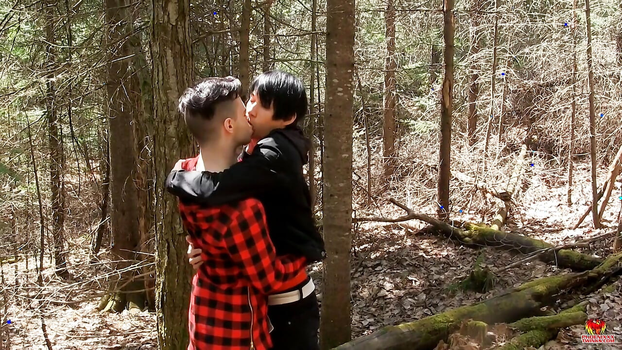 小屋里的树林丹尼尔需要每一寸