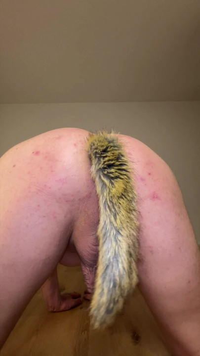 Rabuda com plug anal