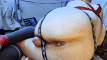Pregled videozapisa