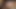 Smiley-Twink wird gestreichelt und gestoßen