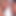 Güzel kızlar büyük bir dildoyla oynuyor - clubsweethearts