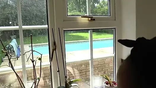 Reife lesbische dame leckt hausmädchen ihre enge muschi