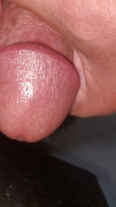 I've got a big cock, I'm horny, I'm looking for someone to suck it, or maybe I'm going to put it in someone's mouth