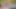 A Naughty Night of Pleasure – Natalia Starr’s Ultimate Oral Satisfaction