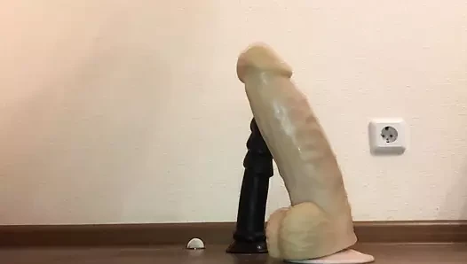 8,5 cm germe