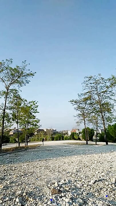 Meztelenül a parkban nappal