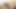 Big Dick Trans Friends Help Each Other Cum After Anal Sex