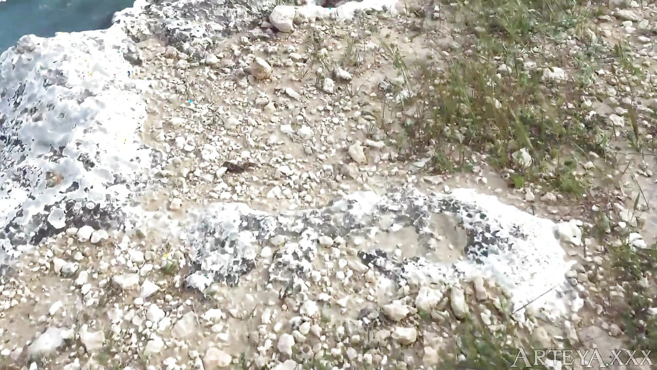 Сука на пляжі