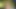 ALLBLACKX - ビッグ・ティティ・タトゥー クイーン ハル・ヘイズ - 伝説の42インチのアナルで初めてアナル