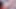 Gave a petboy for his birthday - 3D Shemale MILF fucks Guy