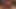 Private momente zu hause beim masturbieren und fisting mit Lovetoy