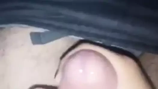 algeria chaoui