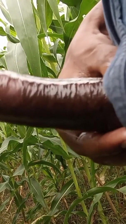 Makka ke khet me oil se malish apne lambe land ki | Clip 1
