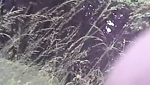 Zlatni tuš, dođi po tvoj vrući kurac