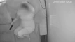 Video pregled