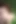 Amazing Oral Sex in the Forest, Explosive Ending