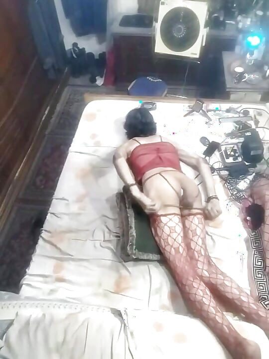 Anal Dode Gilboy Amazing