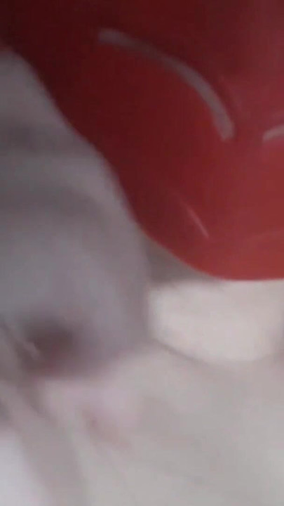 Captivating moment from "LESBIAN STEPMOM CELEBRATES HALLOWEEN BY MASTURBATING"