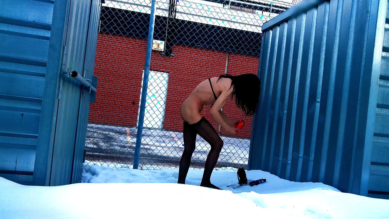 Frozen Meat