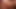 Slavemilf fickte hartgedrehte Tisch-Pinkeln in den Mund des Meisters