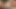 妻との朝のセックス - リアルカップル