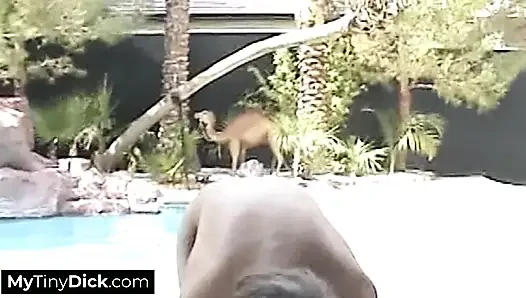 Cewek imut rambut pirang lagi asik nyepong kontol kecil di pinggir kolam renang