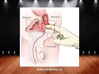 g-spot
