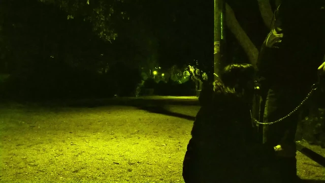 My husband took me for a walk in the park with a leash around my neck. Then he wanted me to suck his dick.