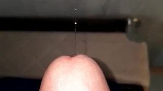 excited penis spilling drops of pleasure
