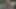 Video ön izlemesi