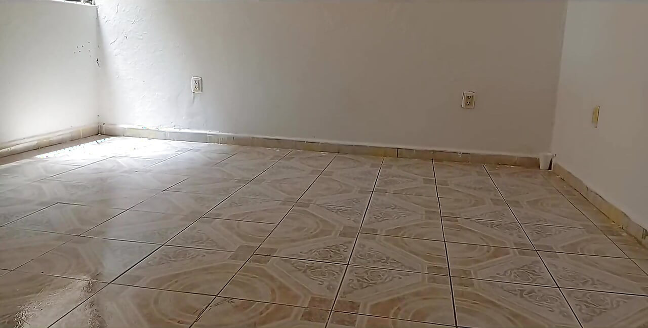 The Lady Who Cleans the House