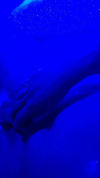 Relaxing in the penis bathtub
