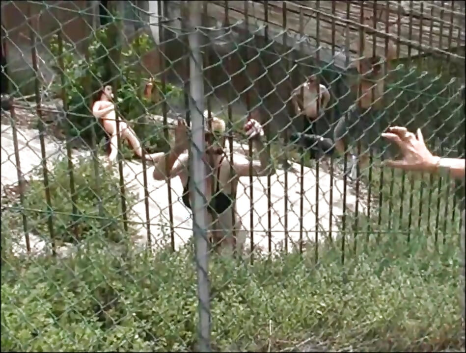 Inglese Slutty Hairy MILF Looking for Big Cocks to Get Fucked in the Park