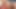 Femboy Otter streichelt seinen harten Schwanz im Höschen, bis er sich selbst abspritzt