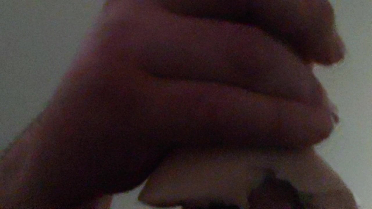 Pocket Pussy