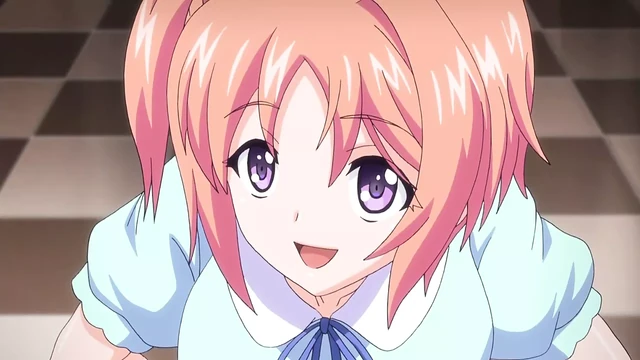 HMV 02 Ass